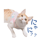 イチローすたんぷ＊basic（個別スタンプ：12）