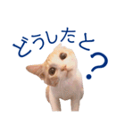 イチローすたんぷ＊basic（個別スタンプ：14）