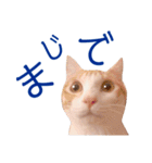 イチローすたんぷ＊basic（個別スタンプ：15）