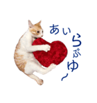 イチローすたんぷ＊basic（個別スタンプ：19）