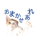 イチローすたんぷ＊basic（個別スタンプ：20）