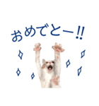 イチローすたんぷ＊basic（個別スタンプ：21）