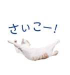 イチローすたんぷ＊basic（個別スタンプ：22）