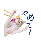 イチローすたんぷ＊basic（個別スタンプ：23）