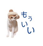 イチローすたんぷ＊basic（個別スタンプ：24）