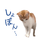 イチローすたんぷ＊basic（個別スタンプ：26）