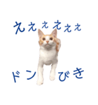 イチローすたんぷ＊basic（個別スタンプ：27）