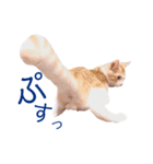 イチローすたんぷ＊basic（個別スタンプ：31）