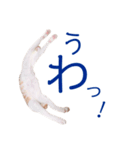 イチローすたんぷ＊basic（個別スタンプ：32）