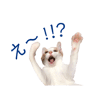 イチローすたんぷ＊basic（個別スタンプ：33）
