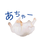 イチローすたんぷ＊basic（個別スタンプ：34）