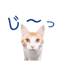 イチローすたんぷ＊basic（個別スタンプ：35）