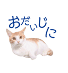 イチローすたんぷ＊basic（個別スタンプ：37）