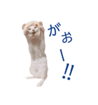イチローすたんぷ＊basic（個別スタンプ：38）