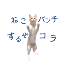 イチローすたんぷ＊basic（個別スタンプ：39）