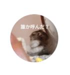 かわいい！動物スタンプ（個別スタンプ：2）