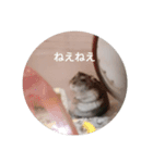 かわいい！動物スタンプ（個別スタンプ：7）