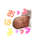 由絃のまいにち（個別スタンプ：1）
