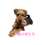 シェリーのスタンプ2（個別スタンプ：7）