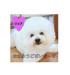 ぽめぽめぽん（個別スタンプ：13）