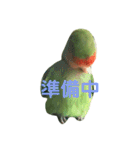 コザクラインコ のぼんじり（個別スタンプ：15）