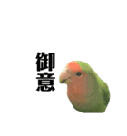 コザクラインコ のぼんじり（個別スタンプ：30）