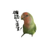 コザクラインコ のぼんじり（個別スタンプ：32）