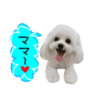 めるここ（個別スタンプ：5）