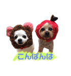 ヨーキーららのhappy life3（個別スタンプ：4）