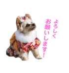 ヨーキーららのhappy life3（個別スタンプ：11）