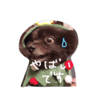 黒ポメごまの日常2（個別スタンプ：4）