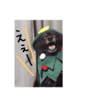 黒ポメごまの日常2（個別スタンプ：6）