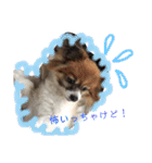 ティティちゃん 2（個別スタンプ：3）