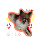ティティちゃん 2（個別スタンプ：5）
