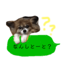 ティティちゃん 2（個別スタンプ：24）