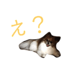ティティちゃん 2（個別スタンプ：30）