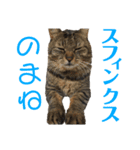 おそんまるスタンプ 2（個別スタンプ：6）