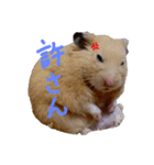 玉三郎と牛太郎の日々（個別スタンプ：4）