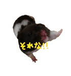 玉三郎と牛太郎の日々（個別スタンプ：6）