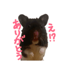 玉三郎と牛太郎の日々（個別スタンプ：16）