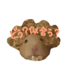 玉三郎と牛太郎の日々（個別スタンプ：32）