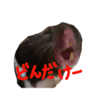 玉三郎と牛太郎の日々（個別スタンプ：38）