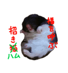 玉三郎と牛太郎の日々（個別スタンプ：39）