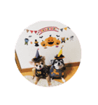 チワワくん(おじゃる＆でんぼ)♡（個別スタンプ：7）