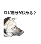 犬なのにウルフ2   夫婦向け（個別スタンプ：7）
