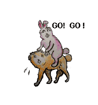 rabbit   and  sheep（個別スタンプ：2）