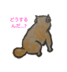 rabbit   and  sheep（個別スタンプ：3）