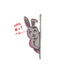 rabbit   and  sheep（個別スタンプ：5）