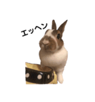 うさぎのカール（個別スタンプ：5）