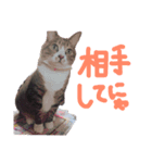 ふうちゃんスタンプ 4（個別スタンプ：4）